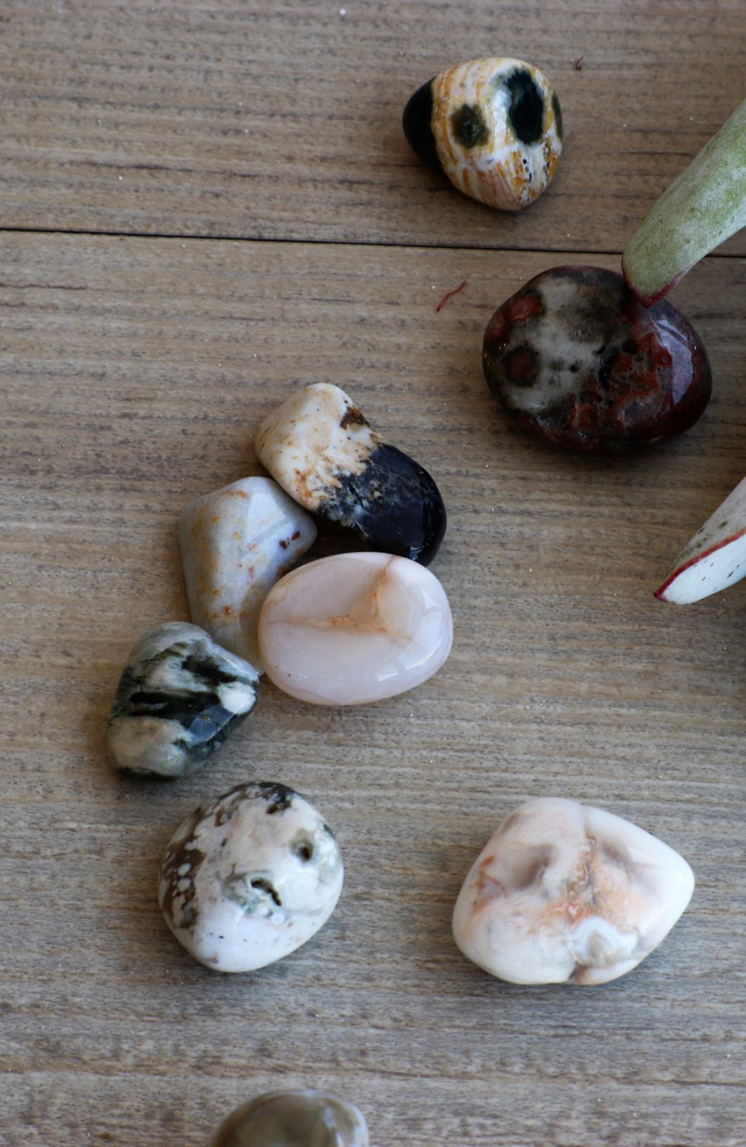 Ocean Jasper Tumbled Stone